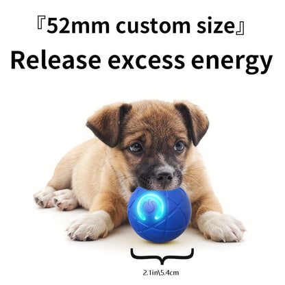 Interactive Dog Ball